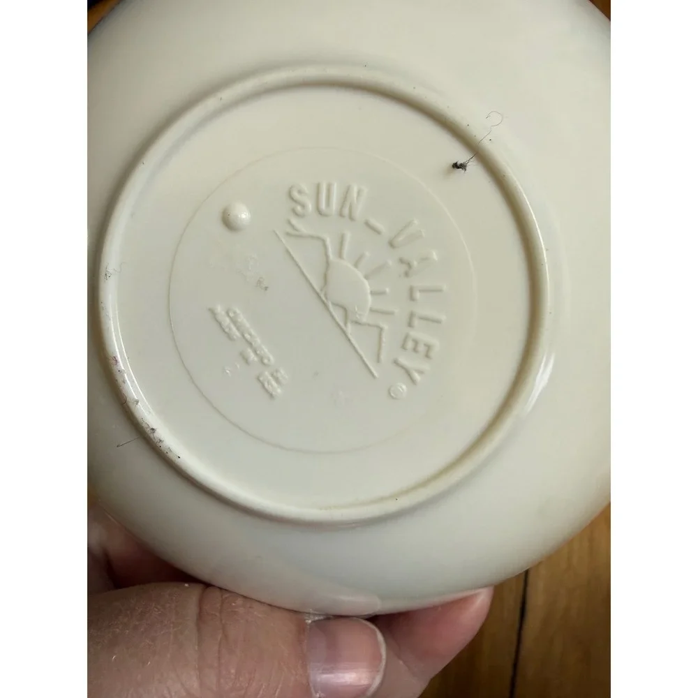 Vintage Disney Donald Duck band Sun Valley Melmac 5.5 in‎ small bowl collectible